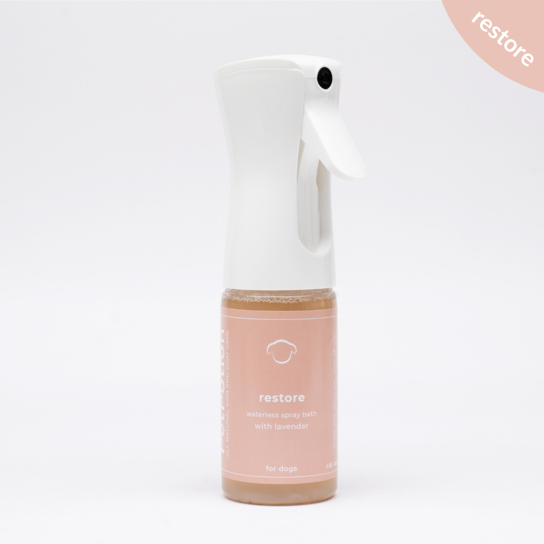 Plantiful clearance dog shampoo