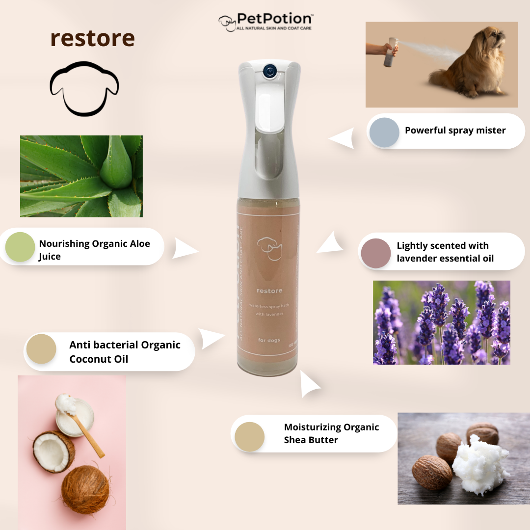 PetPotion Restore Organic, No Rinse, Waterless Misting Spray Shampoo 10oz - PetPotion™