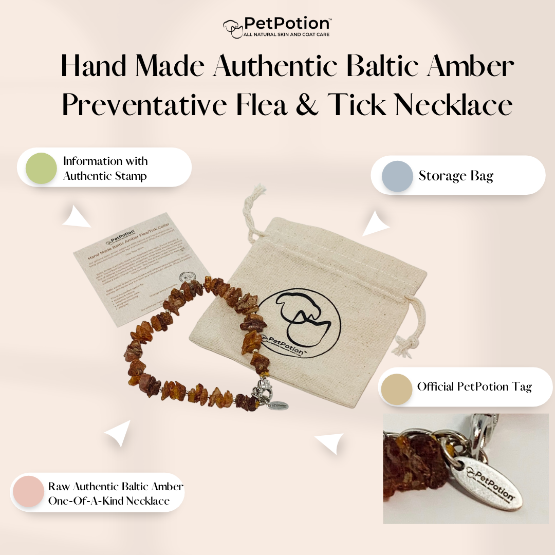 Authentic Baltic Amber Holistic Preventative Flea/Tick Necklace - PetPotion™