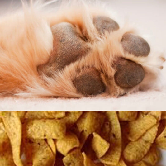 Frito/Corn Chip/Popcorn Feet?