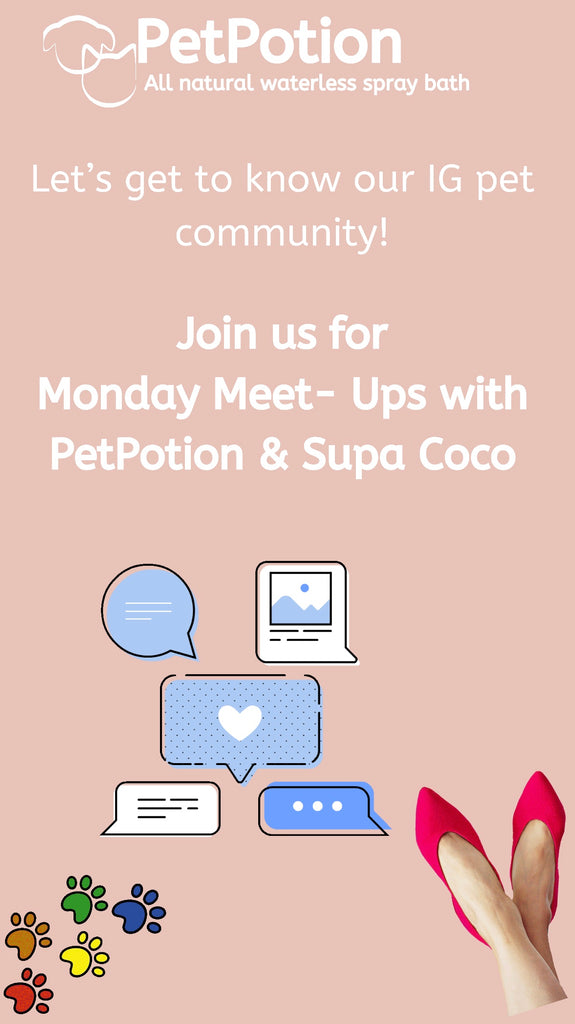 PetPotion Chats With Founder Of Supa Coco