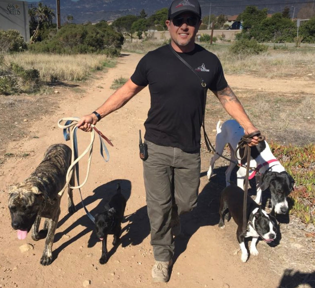 A Walk In The Pack!