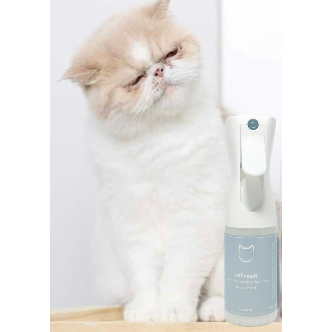 Refresh Cat Organic, No Rinse, Misting Shampoo 5oz/ Unscented - PetPotion™