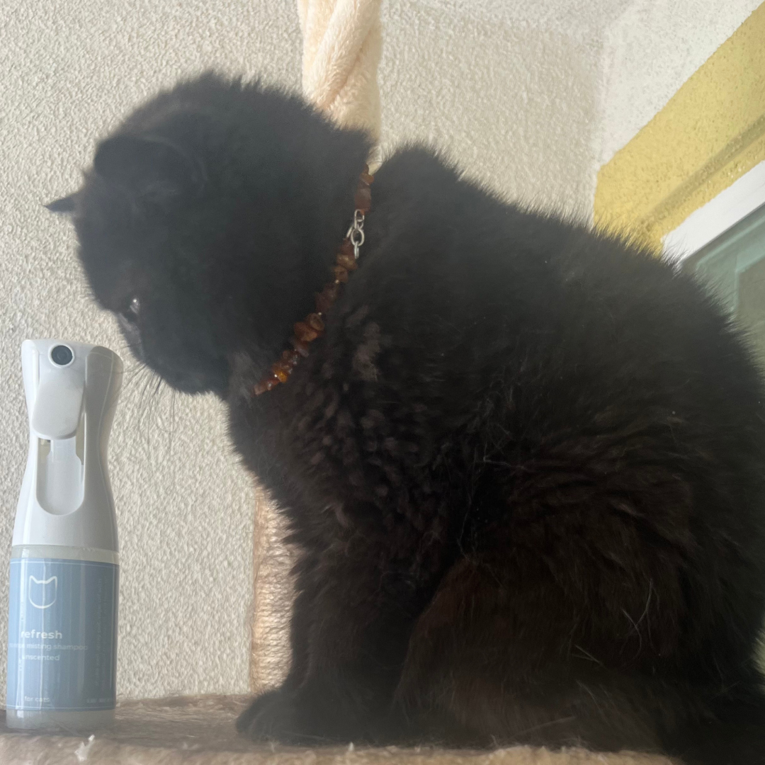Refresh Cat Organic, No Rinse, Misting Shampoo 5oz/ Unscented - PetPotion™