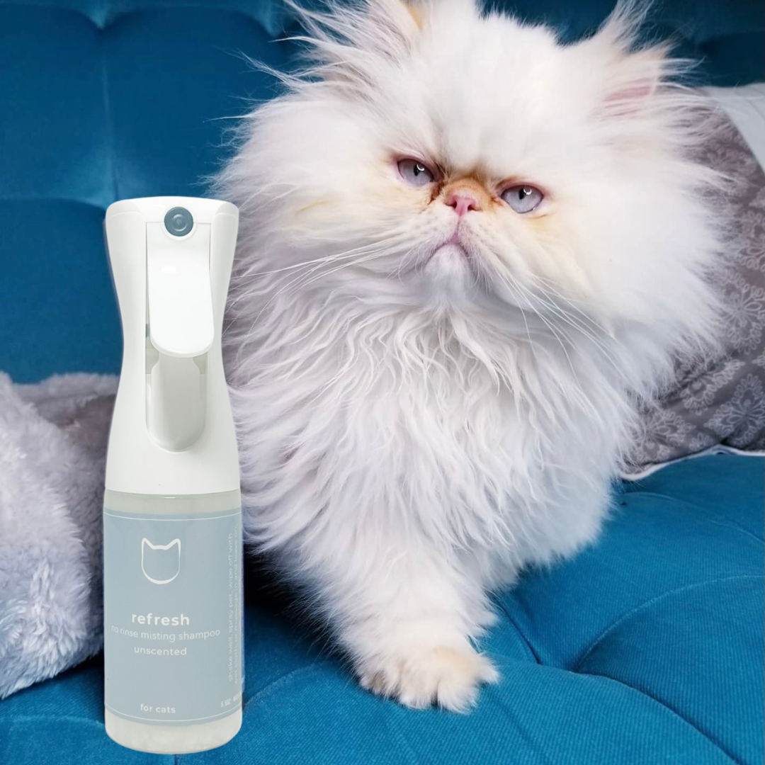 Refresh Cat Organic, No Rinse, Misting Shampoo 5oz/ Unscented - PetPotion™