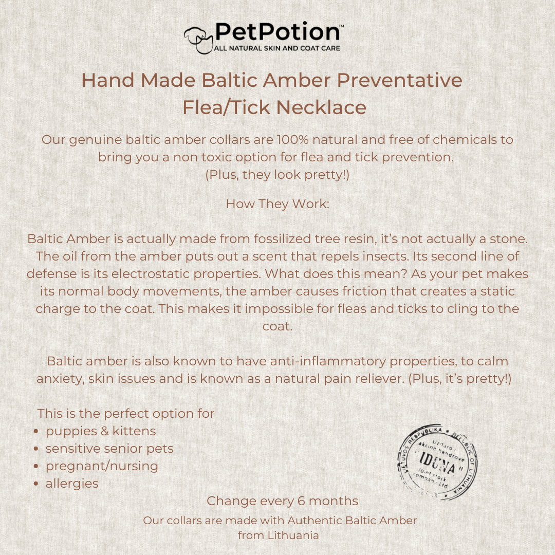 Authentic Baltic Amber Pet Necklace- - PetPotion™