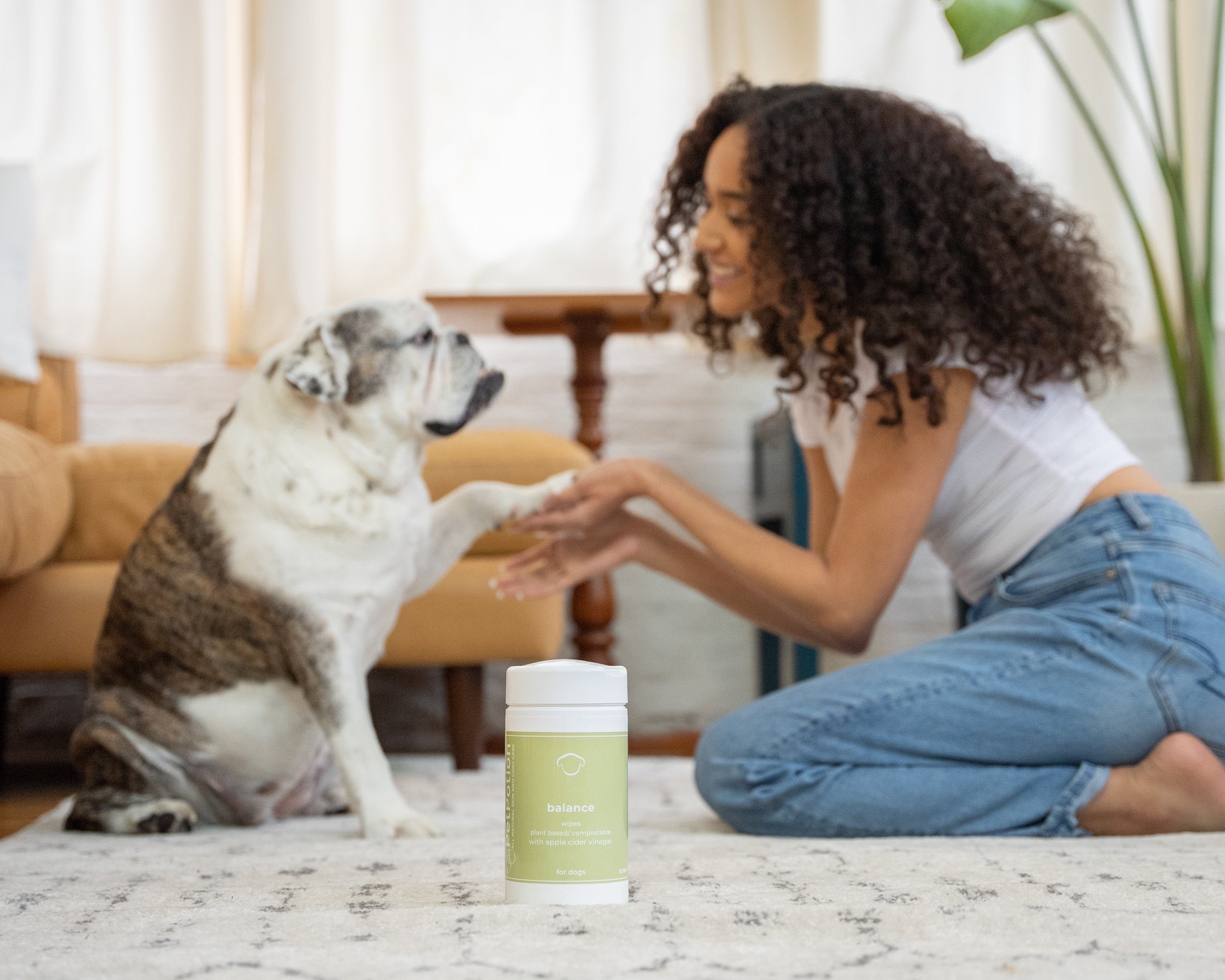 Balance Plant Based/Compostable Wipes 5.5 Ounce - PetPotion™