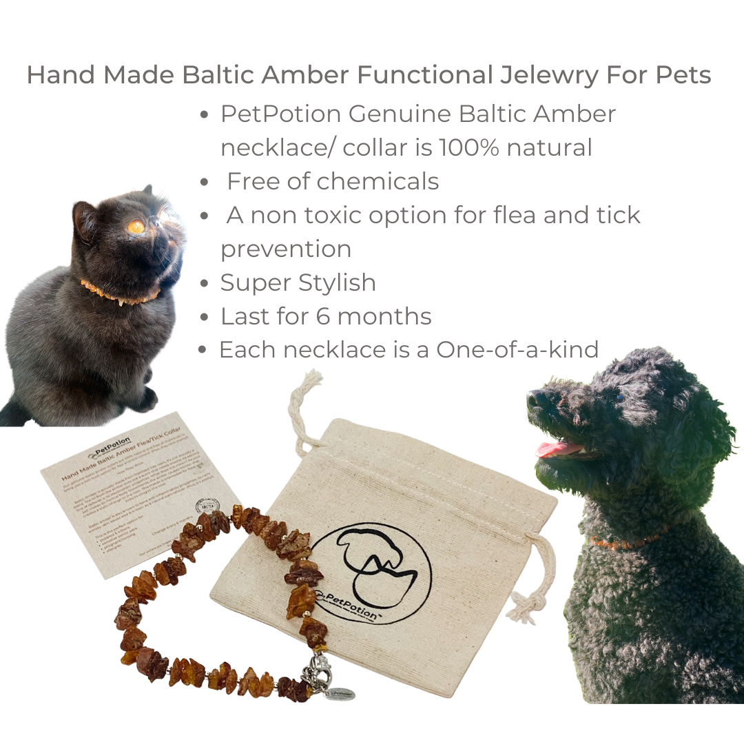 Authentic Baltic Amber Holistic Preventative Flea/Tick Necklace - PetPotion™