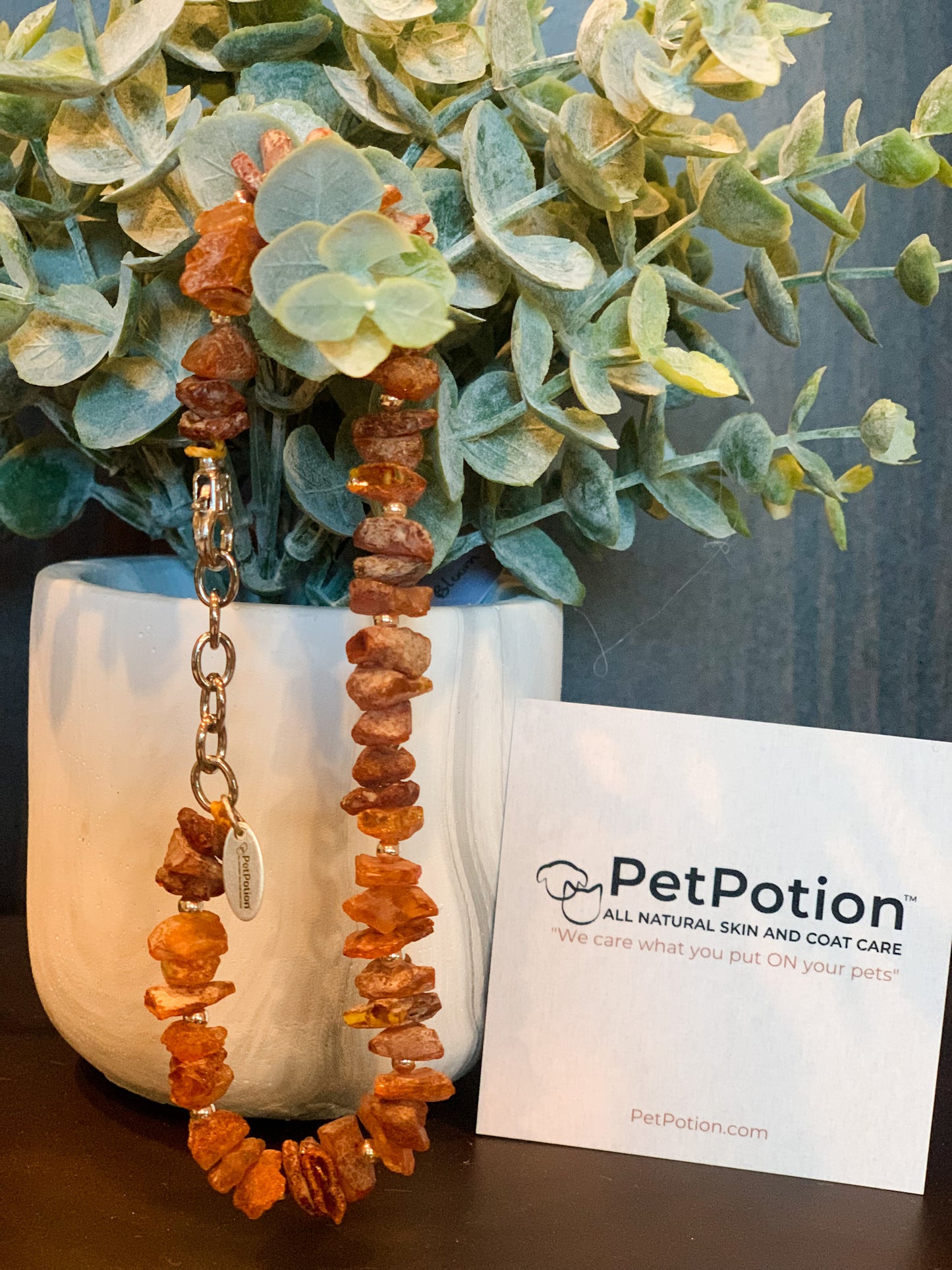 Authentic Baltic Amber Holistic Preventative Flea/Tick Necklace - PetPotion™