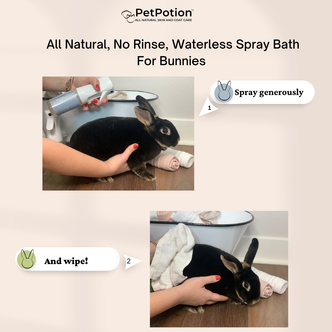 Restore Bunny, No Rinse, Waterless Spray Bath  5.5 oz - PetPotion™