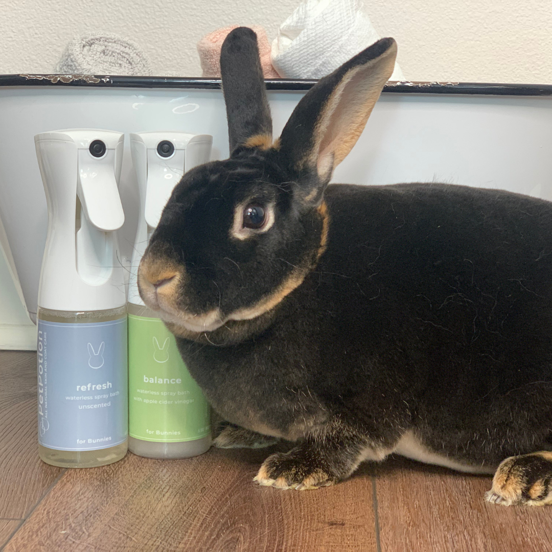 Refresh Bunny, No Rinse Waterless Spray Bath 5.5 oz - PetPotion™