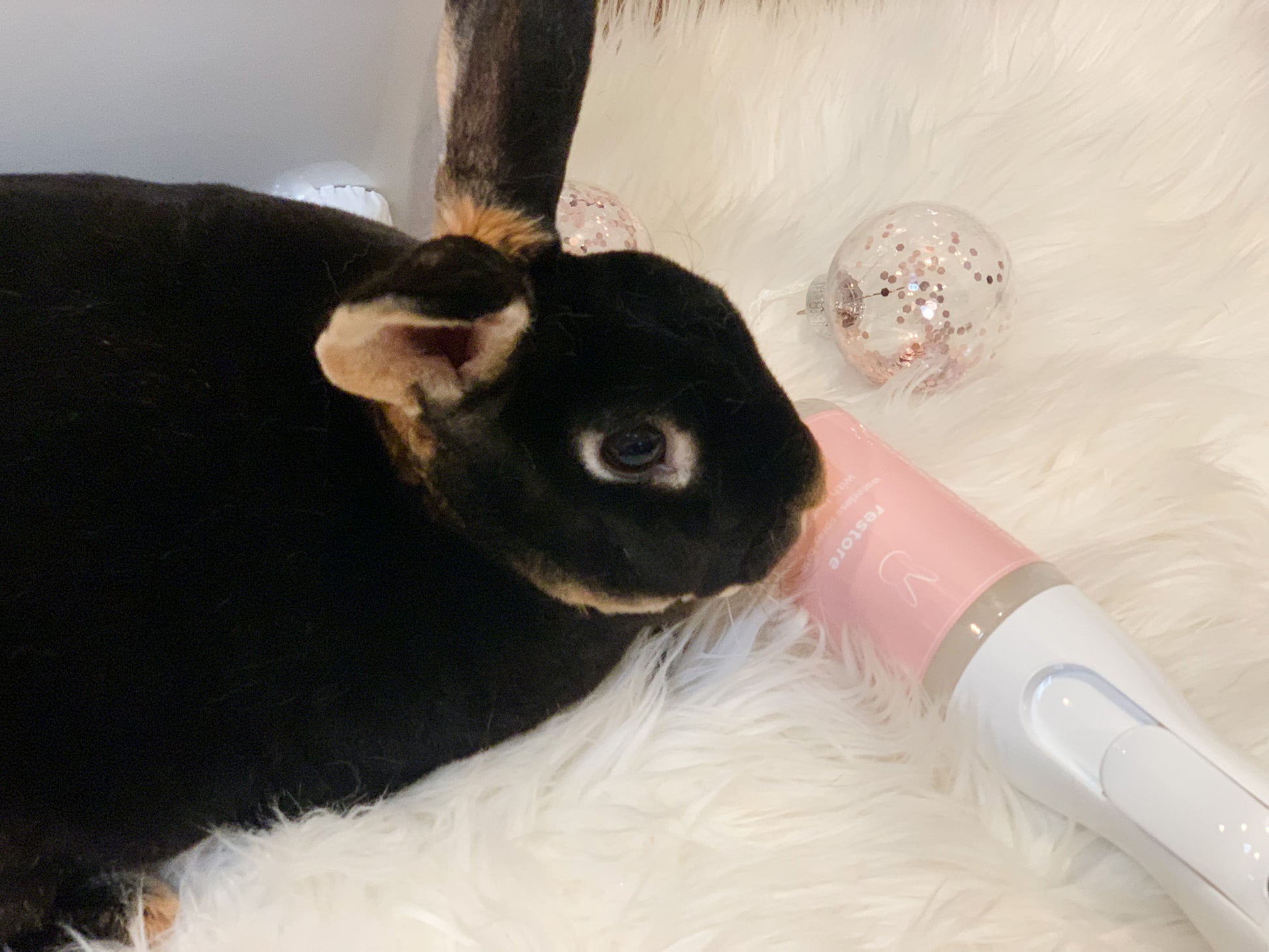 Restore Bunny, No Rinse, Waterless Spray Bath  5.5 oz - PetPotion™