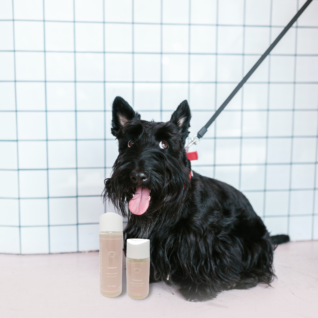 Restore Moisture Wash - PetPotion™
