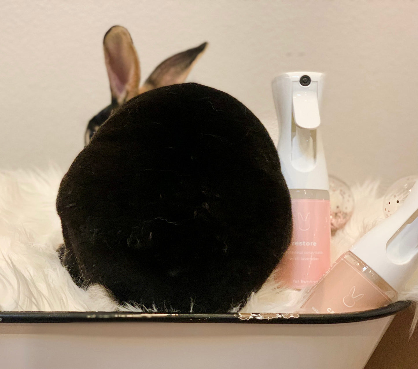 Restore Bunny, No Rinse, Waterless Spray Bath  5.5 oz - PetPotion™