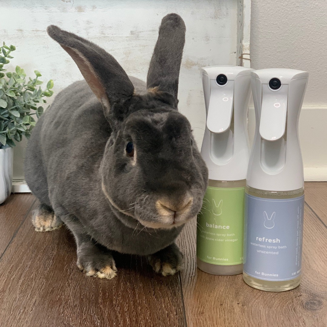 Refresh Bunny, No Rinse Waterless Spray Bath 5.5 oz - PetPotion™