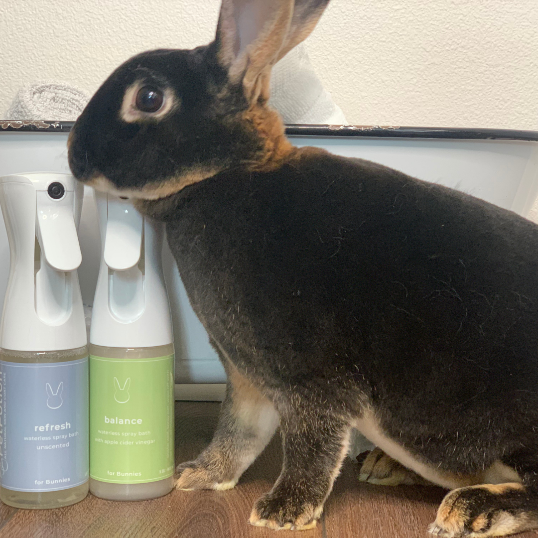 Balance Bunny No Rinse Waterless Spray Bath  5.5 oz - PetPotion™