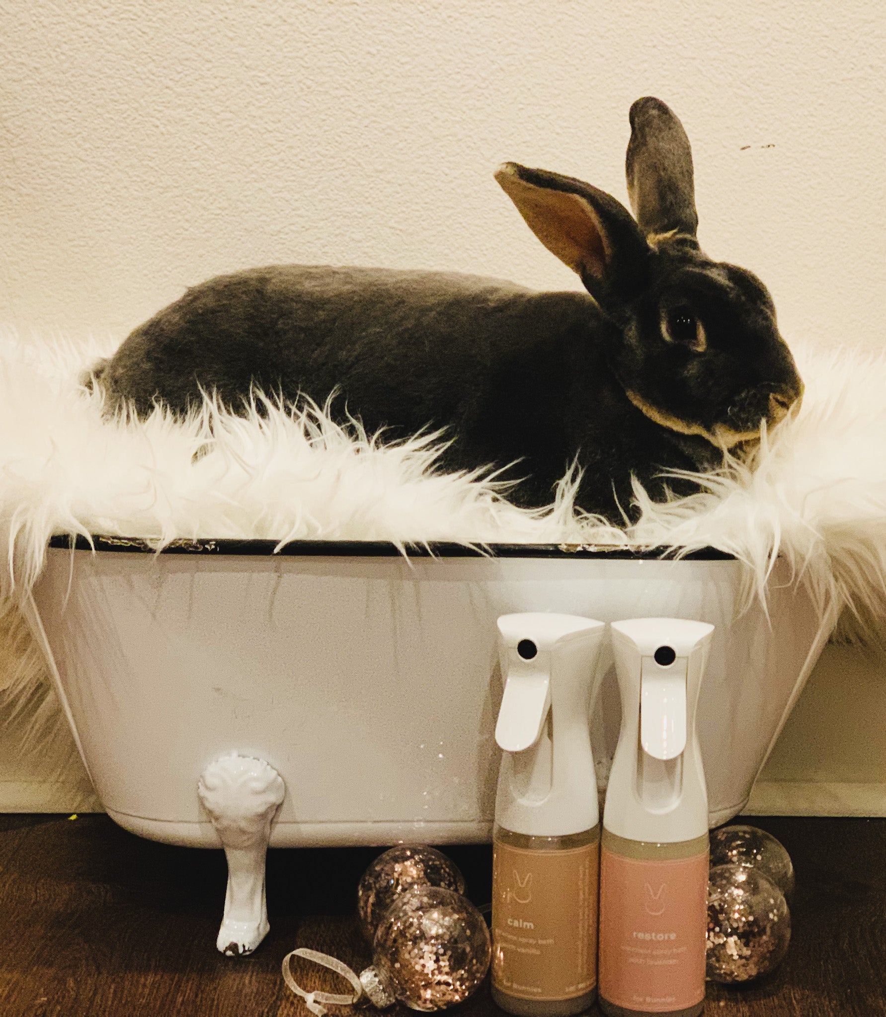 Restore Bunny, No Rinse, Waterless Spray Bath  5.5 oz - PetPotion™
